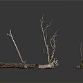 Natural Dry Plant Branches In Various Shapes With Brown And White Textures On White Background