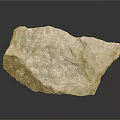Petrified Stone With Natural Texture Rough Surface And Geological Specimen