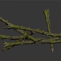 Rustic Dry Branches Covered With Vibrant Green Moss And Small Twigs