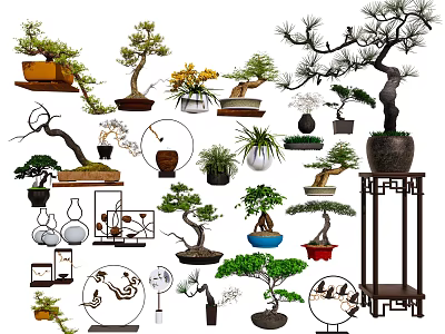 Various Bonsai Plants With Different Shapes And Decorative Pots On Display Shelves 3d model