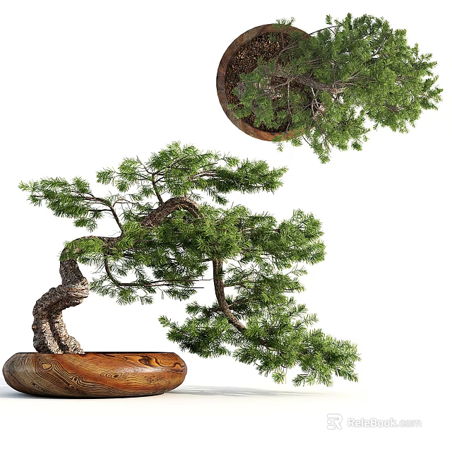 Artistic Bonsai Tree with Curved Trunk and Green Foliage in Carved Wooden Pot 3d model 