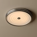 Modern Round Ceiling Light With Metal Frame And Soft Illumination For Contemporary Home Interiors