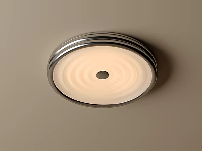 Modern Round Ceiling Light With Metal Frame And Soft Illumination For Contemporary Home Interiors 3d model