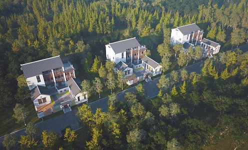 Aerial view of Chinese villa architecture 3d model