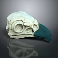 Detailed Bird Skull With Green Beak And White Bone Anatomical Structure