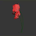 Vibrant Red Flowers With Green Stems And Round Green Bases On Gray Background