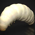 Creamy White Segmented Larva With Small Yellow Legs On Black Reflective Surface 3d model