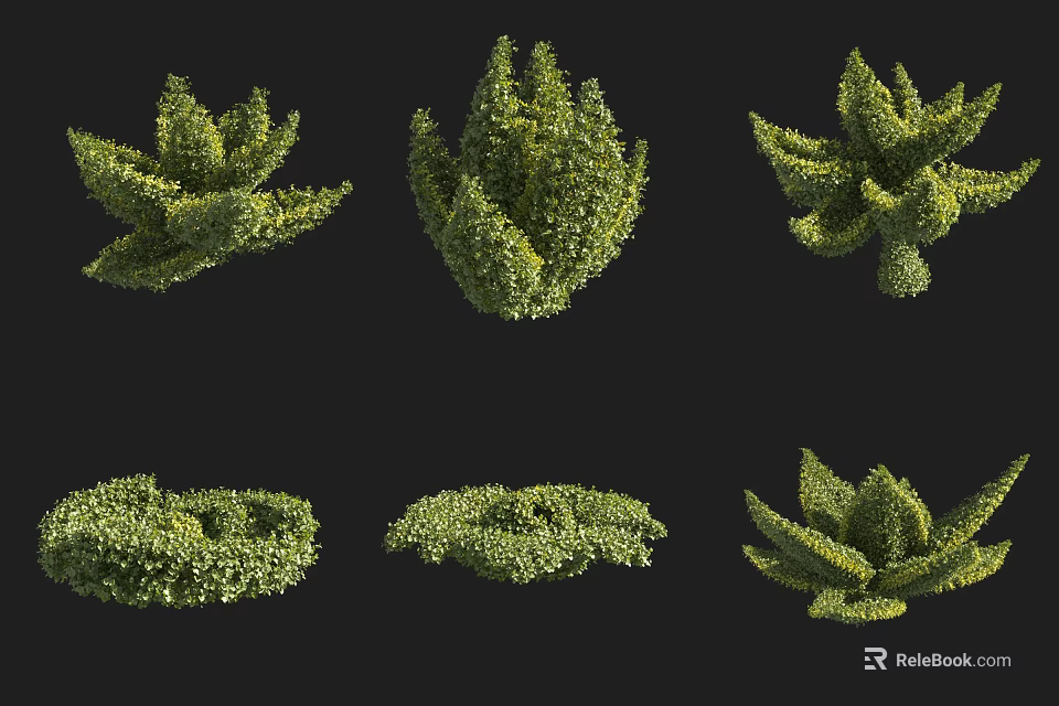 Various Artistic Pruned Green Bushes With Different Shaped Forms For Garden Landscaping 3d model 