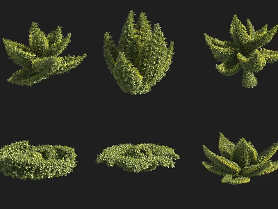 Various Artistic Pruned Green Bushes With Different Shaped Forms For Garden Landscaping 3d model