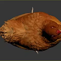Vibrant Orange Chicken Standing With Bright Feathers On Dark Background