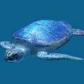 Sea Turtle Reptile With Blue Shell And Detailed Texture On Blue Background 3d model