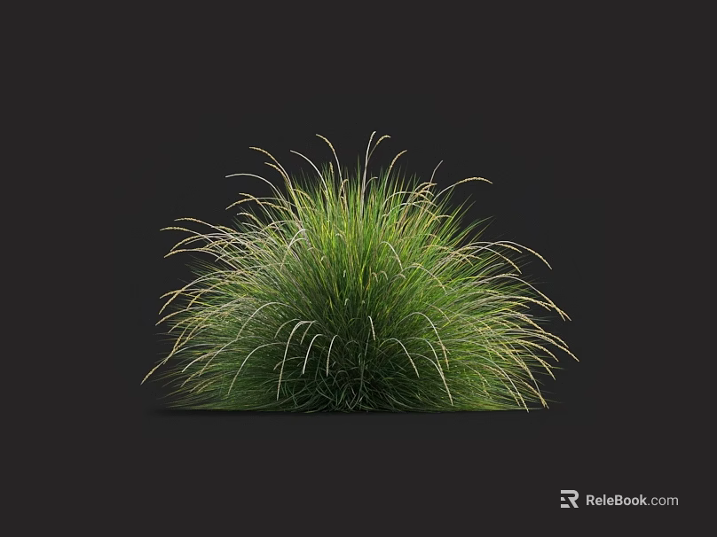 Fluffy Green Grass With Slender Leaves And Round Shape In Black Background 3d model 