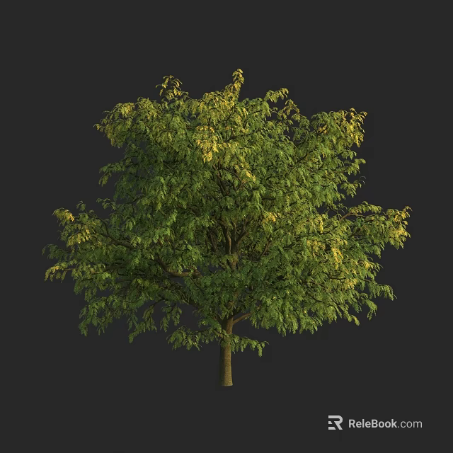 Lush Green Leaf Tree With Dense Foliage And Sturdy Trunk In Natural Setting 3d model