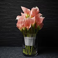 Pink Calla Lilies in Transparent Vase with Gray Ribbon Against Black Wavy Textured Wall