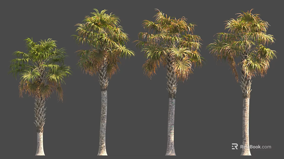 Various Palm Trees With Different Frond States And Textured Trunks 3d model