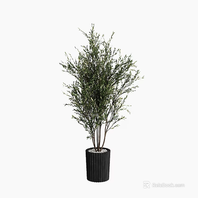 Bonsai Potted Plant With Slender Branches Green Foliage And Black Vertical Striped Pot 3d model 
