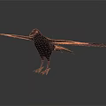Detailed Black Crow With Spread Wings Standing On White Background Surface 3d model