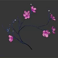 Elegant Pink Blossom Branch Adorned with Delicate Flowers on Dark Background