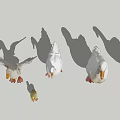 Animal Goose Duck Poultry 3d model