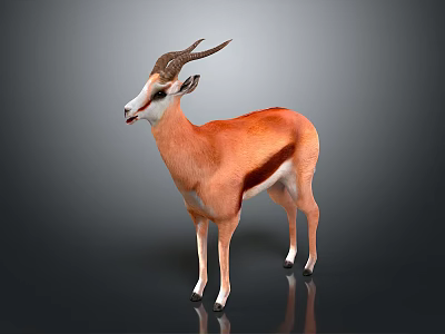 Standing 3D Antelope Model With Brown White Fur Curved Horns Dark Background 3d model