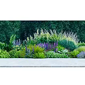 Lush Garden Shrubs With Diverse Plants Colorful Flowers Along Stone Pathway