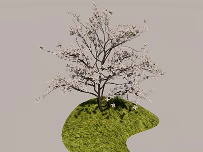 Graceful Arbor With White Blossoms And Dark Trunk On Lush Green Grass 3d model