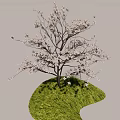 Graceful Arbor With White Blossoms And Dark Trunk On Lush Green Grass