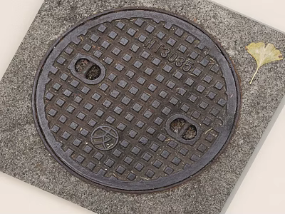 Detailed Round Manhole Cover With Grid Pattern On Gray Pavement With Ginkgo Leaf 3d model