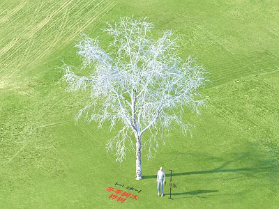 Tall Arbor Growing In Lush Green Grassland With Standing Person And Natural Scene 3d model