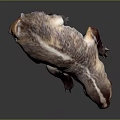 Beiji Badger American Badger Fur Tasmanian Badger Wolverine Badger Animal Wild Animal 3d model