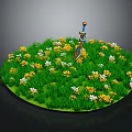 Green Grass Field With Yellow And White Small Flowers Blooming Brightly
