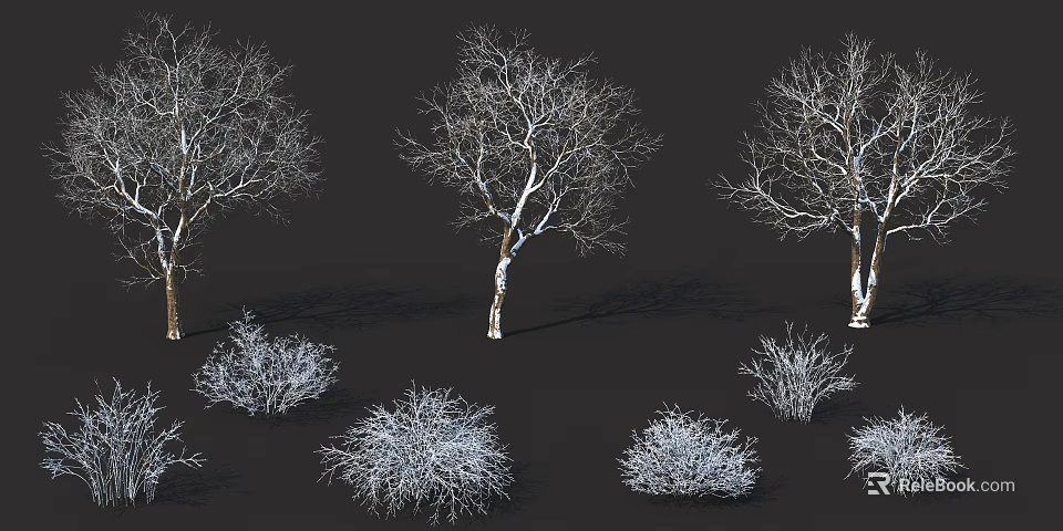 Winter Deciduous Trees With Snow Covered Branches And Surrounding Small Shrubs On Dark Background 3d model 