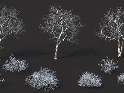 Winter Deciduous Trees With Snow Covered Branches And Surrounding Small Shrubs On Dark Background 3d model