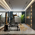 Modern Fitness Gym Interior With Workout Equipment Mirrors Green Plants And Area Rug