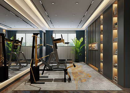 Modern Gym Home Gym 3d model