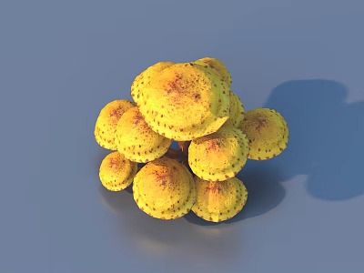Yellow Speckled Mushrooms Cluster On Blue Background With Soft Shadows 3d model