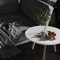 Gray Multi Seater Sofa With Throw Blanket Round Coffee Table And Large Green Plant