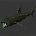 Realistic Brown Shark Model With Open Mouth Sharp Teeth And Textured Fins