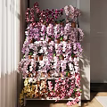 Colorful Potted Orchids On Multi Tiered Shelf In Sunlit Indoor Living Room