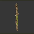 Natural Wood Stone Decorative Piece With Brown Green Texture And Vertical Shape In Dark Background