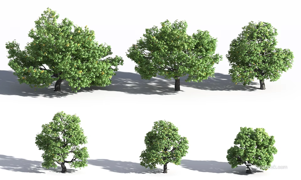 Diverse Arbor Tree Varieties Featuring Green Foliage Different Shapes And Shadows 3d model