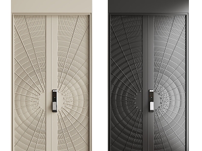 Modern entry door combination model