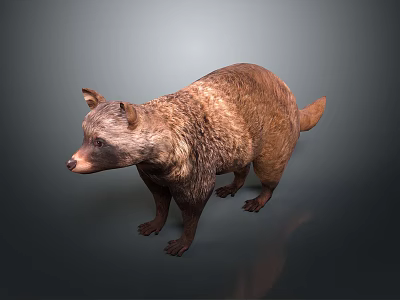 Realistic Brown Bear 3D Model With Detailed Fur And Standing Pose 3d model