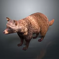 Realistic Brown Bear 3D Model With Detailed Fur And Standing Pose 3d model
