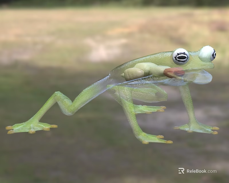 Green Aquatic Frog With Transparent Body And Visible Internal Organs On Grassy Background 3d model 
