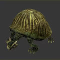Green Turtle With Yellow And Brown Striped Shell And Scaly Textured Clawed Limbs Decorative Model