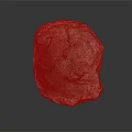 Ancient Marine Animal Fossil With Detailed Shell Structure On Dark Background