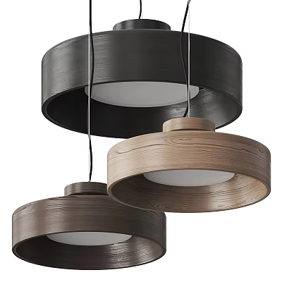 Modern Wooden Pendant Lights With Circular Design And Black Natural Wood Tones 3d model