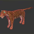 Detailed Leopard Figure With Spotted Coat Standing On Dark Reflective Surface 3d model