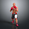 Shirtless Man in Boxing Stance with Red Gloves Black Shorts White Design and Red Shoes